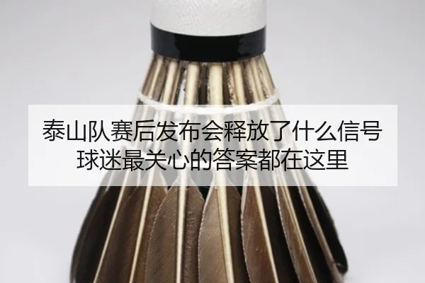 泰山队赛后发布会释放了什么信号 球迷最关心的答案都在这里 - ngyule